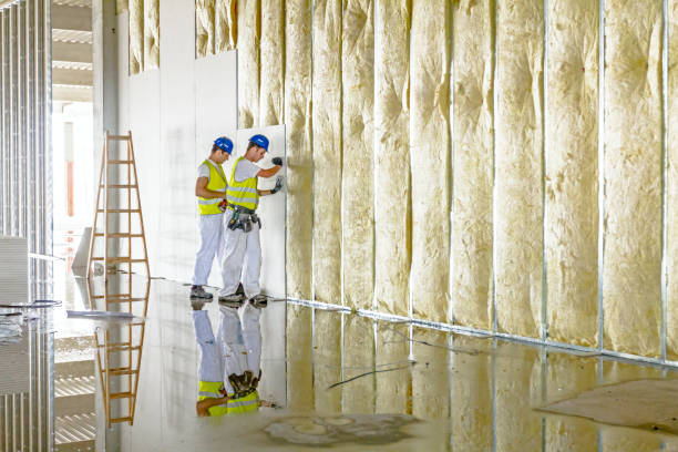 Best Residential Insulation in Menonee, MI